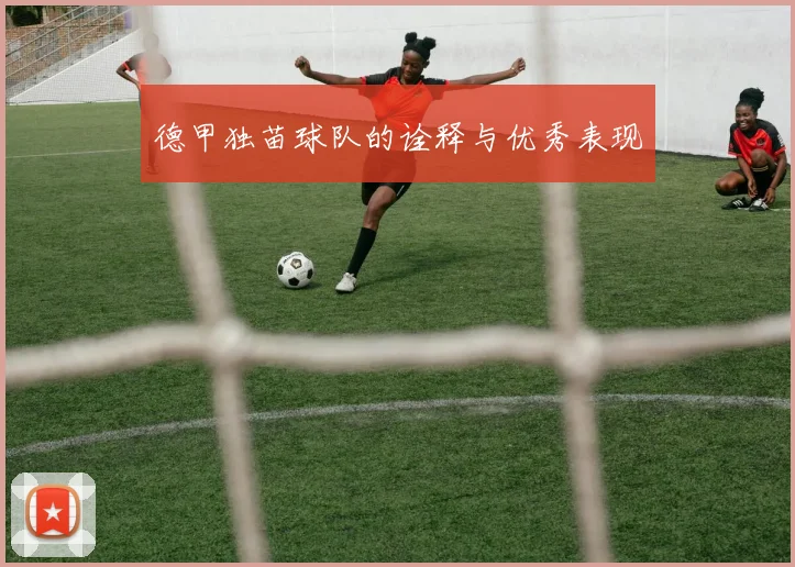 德甲独苗球队的诠释与优秀表现