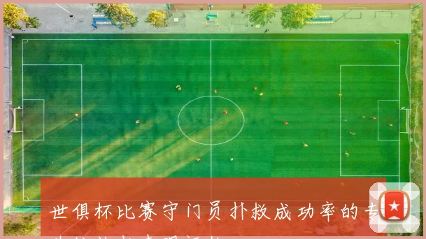 世俱杯比赛守门员扑救成功率的专业统计与表现评估