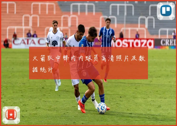 火箭队中锋内内球员高清照片及数据统计